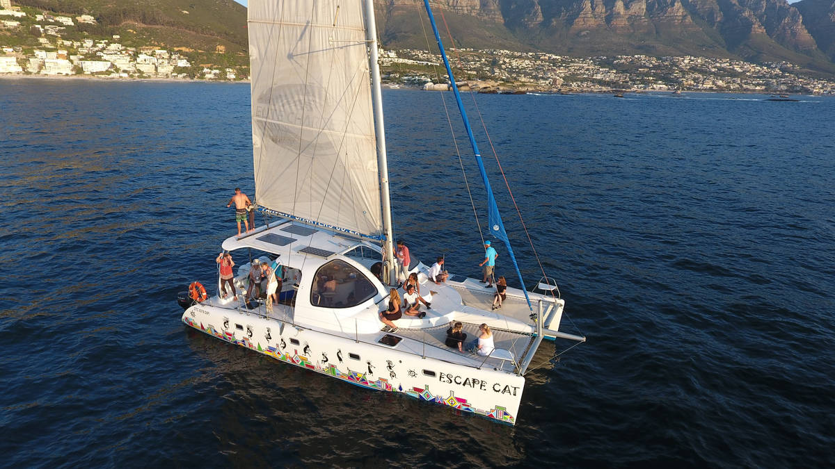 Bay Sail (in Escape Cat Catamaran) in Waterfront, Cape Town (1 hour)