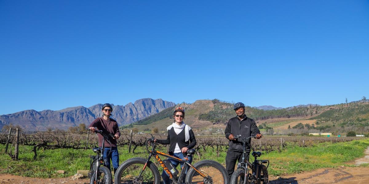 E-Bike Cape Winelands Tour (Half-Day)