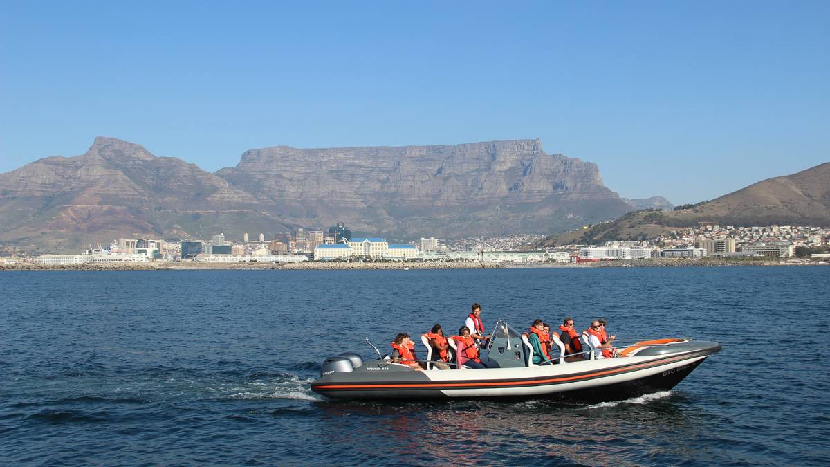 Marine Eco Tour In Waterfront, Cape Town