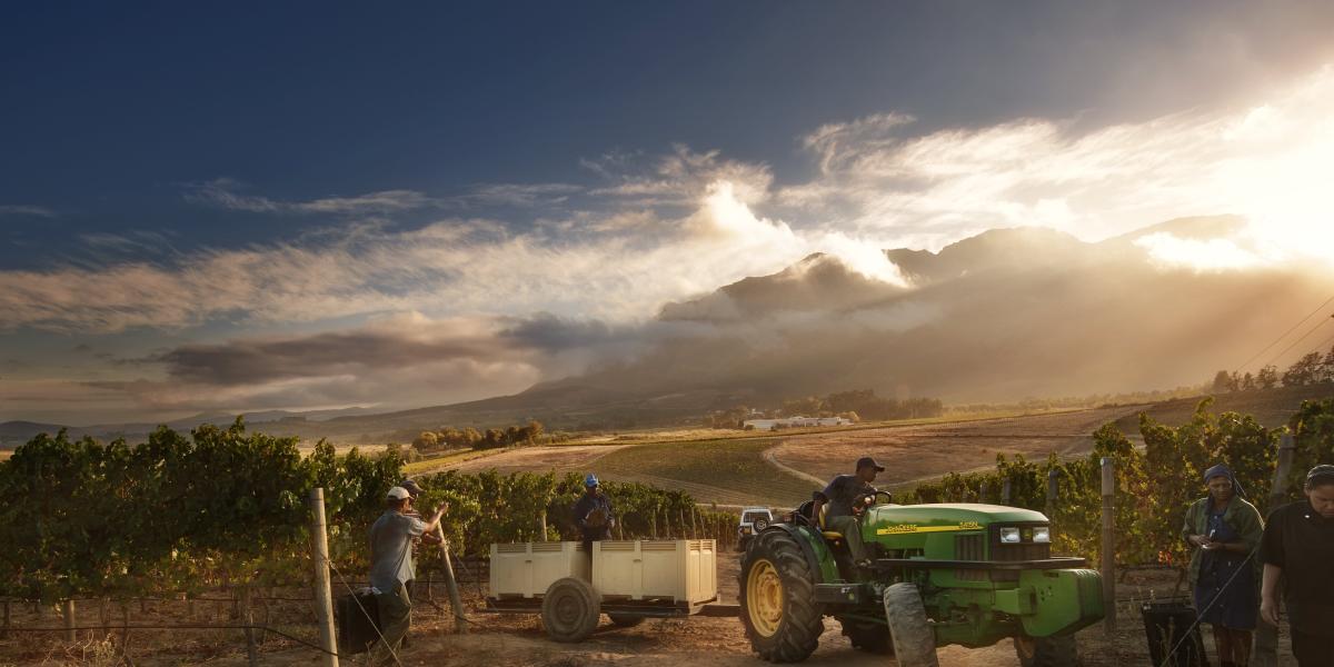 Cape Winelands Full Day Tour